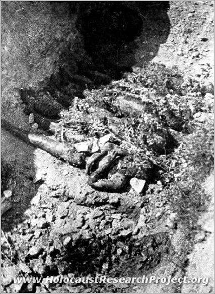 The remains of bodies in a mass grave in the Majdanek camp.